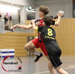 jage 240417 Handball-Wohlen-CS-Chenois-Geneve 003