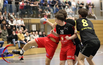 jage 240417 Handball-Wohlen-CS-Chenois-Geneve 007