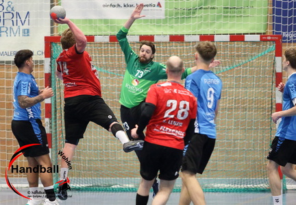 jage 240421 SG-TSV-Frick-Handball-Wohlen 008