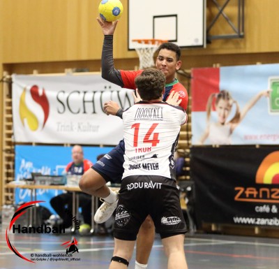 jangelpke 251108 sgmutschellenwohlen handballemmen