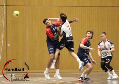 jangelpke 251108 sgmutschellenwohlen handballemmen