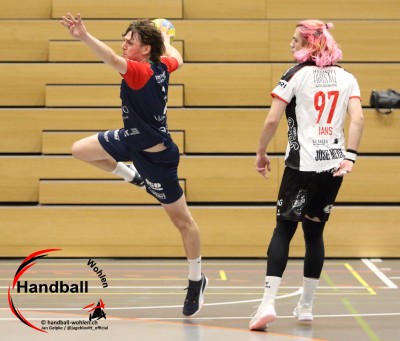 jangelpke 251108 sgmutschellenwohlen handballemmen