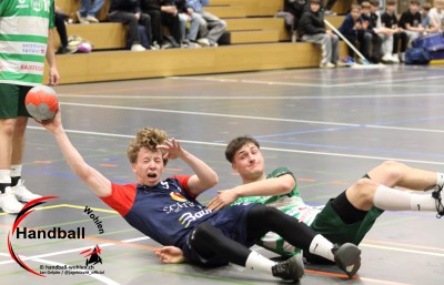 jangelpke 251108 sgwohlenmutschellen sghvolten