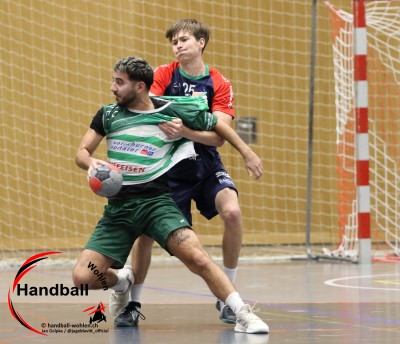 jangelpke 251108 sgwohlenmutschellen sghvolten