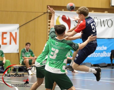 jangelpke 251108 sgwohlenmutschellen sghvolten