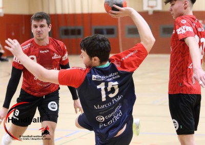 jangelpke 260110 sgmutschellenwohlen sgstaedtli baden