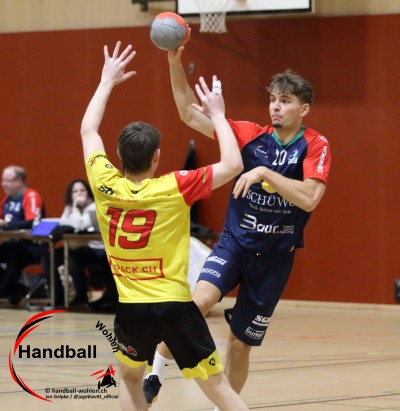 jangelpke 260110 sgwohlenmutschellen stvwillisau