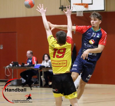 jangelpke 260110 sgwohlenmutschellen stvwillisau