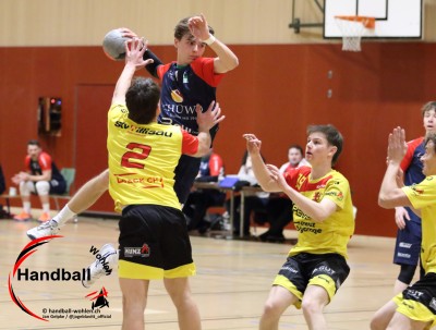 jangelpke 260110 sgwohlenmutschellen stvwillisau