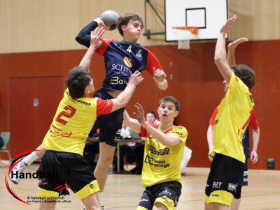 jangelpke 260110 sgwohlenmutschellen stvwillisau