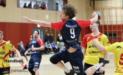 jangelpke 260110 sgwohlenmutschellen stvwillisau