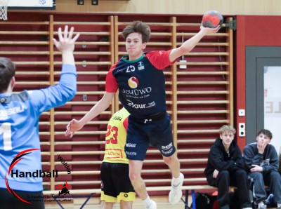 jangelpke 260110 sgwohlenmutschellen stvwillisau