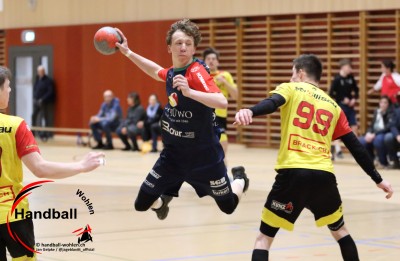 jangelpke 260110 sgwohlenmutschellen stvwillisau