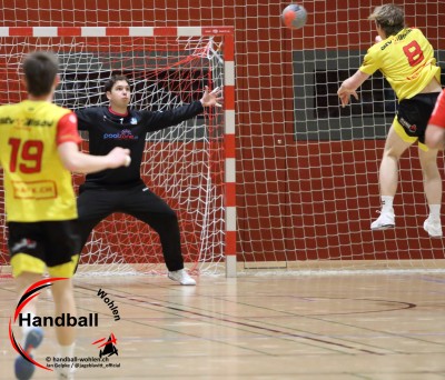 jangelpke 260110 sgwohlenmutschellen stvwillisau