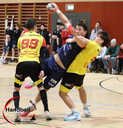 jangelpke 260110 sgwohlenmutschellen stvwillisau