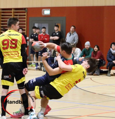 jangelpke 260110 sgwohlenmutschellen stvwillisau