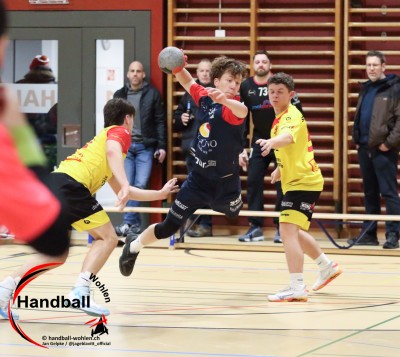 jangelpke 260110 sgwohlenmutschellen stvwillisau