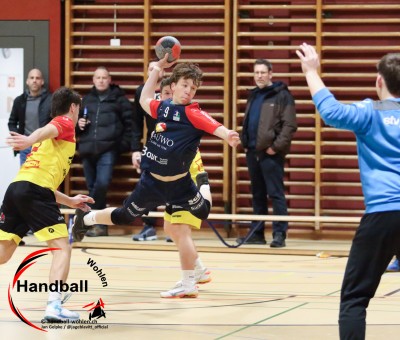 jangelpke 260110 sgwohlenmutschellen stvwillisau