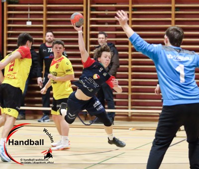 jangelpke 260110 sgwohlenmutschellen stvwillisau