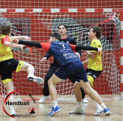 jangelpke 260110 sgwohlenmutschellen stvwillisau