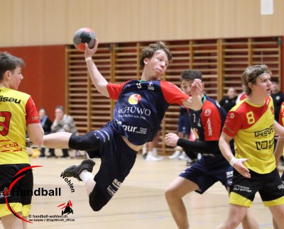 jangelpke 260110 sgwohlenmutschellen stvwillisau