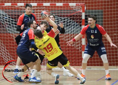 jangelpke 260110 sgwohlenmutschellen stvwillisau