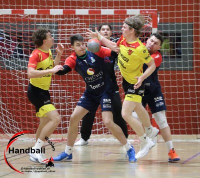 jangelpke 260110 sgwohlenmutschellen stvwillisau