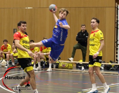 jangelpke 241214 sg wohlen mutschellen stv willisau