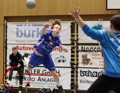 jangelpke 241214 sg wohlen mutschellen stv willisau