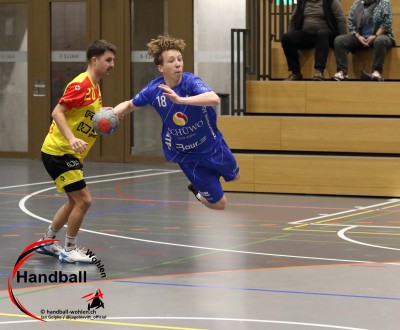 jangelpke 241214 sg wohlen mutschellen stv willisau
