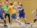 jangelpke 250215 sg mutschellen wohlen hsg mythen shooters