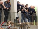 jangelpke 250215 sg wohlen mutschellen psg lyss