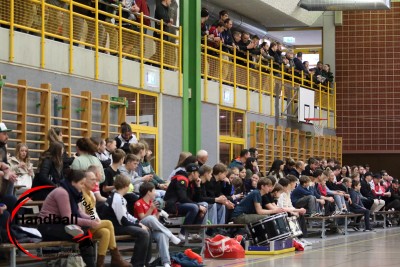 jangelpke 250315 sg wohlen mutschellen sg aor
