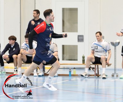 jangelpke 260315 handballbrugg sgmutschellenwohlen