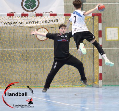 jangelpke 260315 handballbrugg sgmutschellenwohlen
