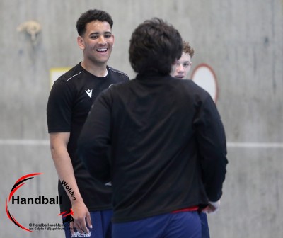 jangelpke 260315 handballbrugg sgmutschellenwohlen