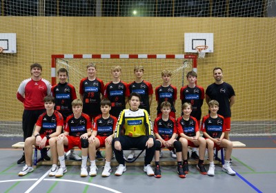 Handball Wohlen 